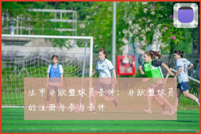 法甲非欧盟球员条件：非欧盟球员的注册与参与条件