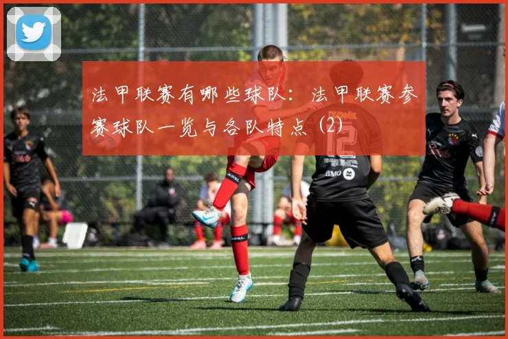 法甲联赛有哪些球队：法甲联赛参赛球队一览与各队特点 (2)